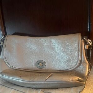 Elegant Metallic Shoulder Bag